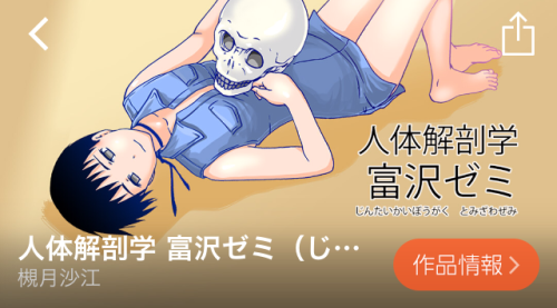 人体解剖学 富沢ゼミ