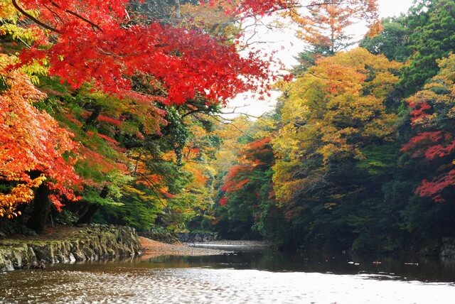 見頃時期　三重県内の紅葉スポット・紅葉名所　まとめ　11月上旬　11月中旬　11月下旬　12月上旬　赤目四十八滝　御在所岳　なばなの里　伊勢神宮内宮神苑　水沢もみじ谷　香落渓（かおちだに）