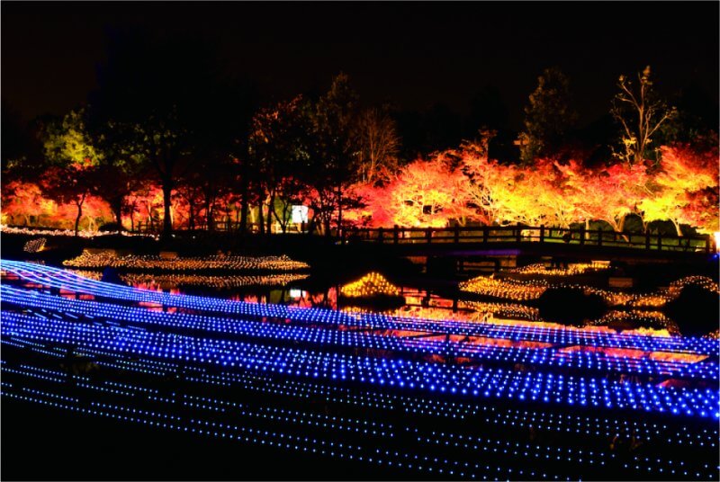 見ごろ時期　三重県内の紅葉スポット・紅葉名所　まとめ　11月上旬　11月中旬　11月下旬　12月上旬　赤目四十八滝　御在所岳　なばなの里　伊勢神宮内宮神苑　水沢もみじ谷　香落渓（かおちだに）