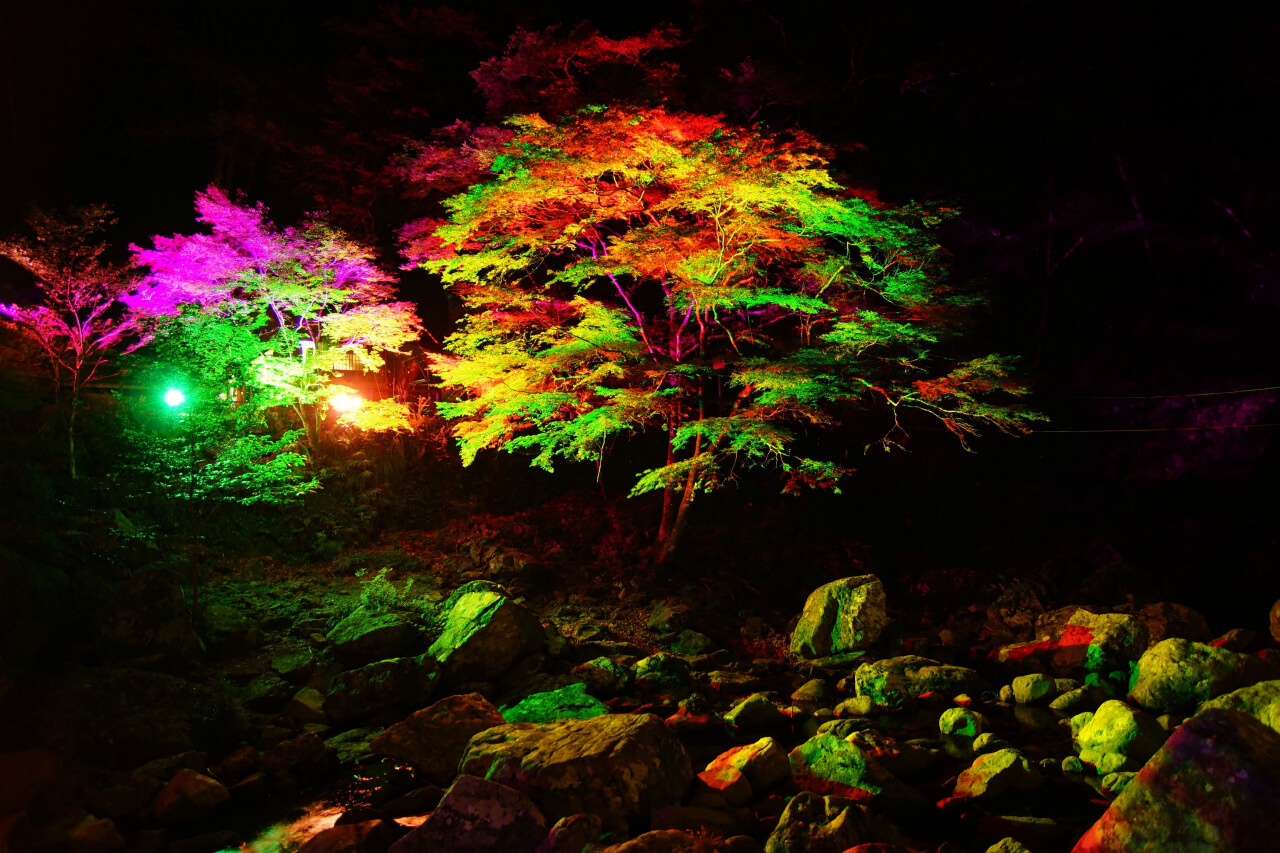 見ごろ時期　三重県内の紅葉スポット・紅葉名所　まとめ　11月上旬　11月中旬　11月下旬　12月上旬　赤目四十八滝　御在所岳　なばなの里　伊勢神宮内宮神苑　水沢もみじ谷　香落渓（かおちだに）