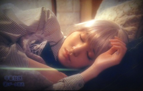 入山法子　第4話　Hey! Say! JUMP 有岡大貴　掟上今日子の備忘録　高木星来　新垣結衣　岡田将生　東京03角田晃広　猫