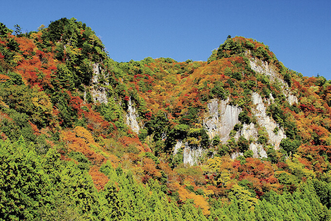 見頃情報　三重県内の紅葉スポット・紅葉名所　まとめ　11月上旬　11月中旬　11月下旬　12月上旬　赤目四十八滝　御在所岳　なばなの里　伊勢神宮内宮神苑　水沢もみじ谷　香落渓（かおちだに）