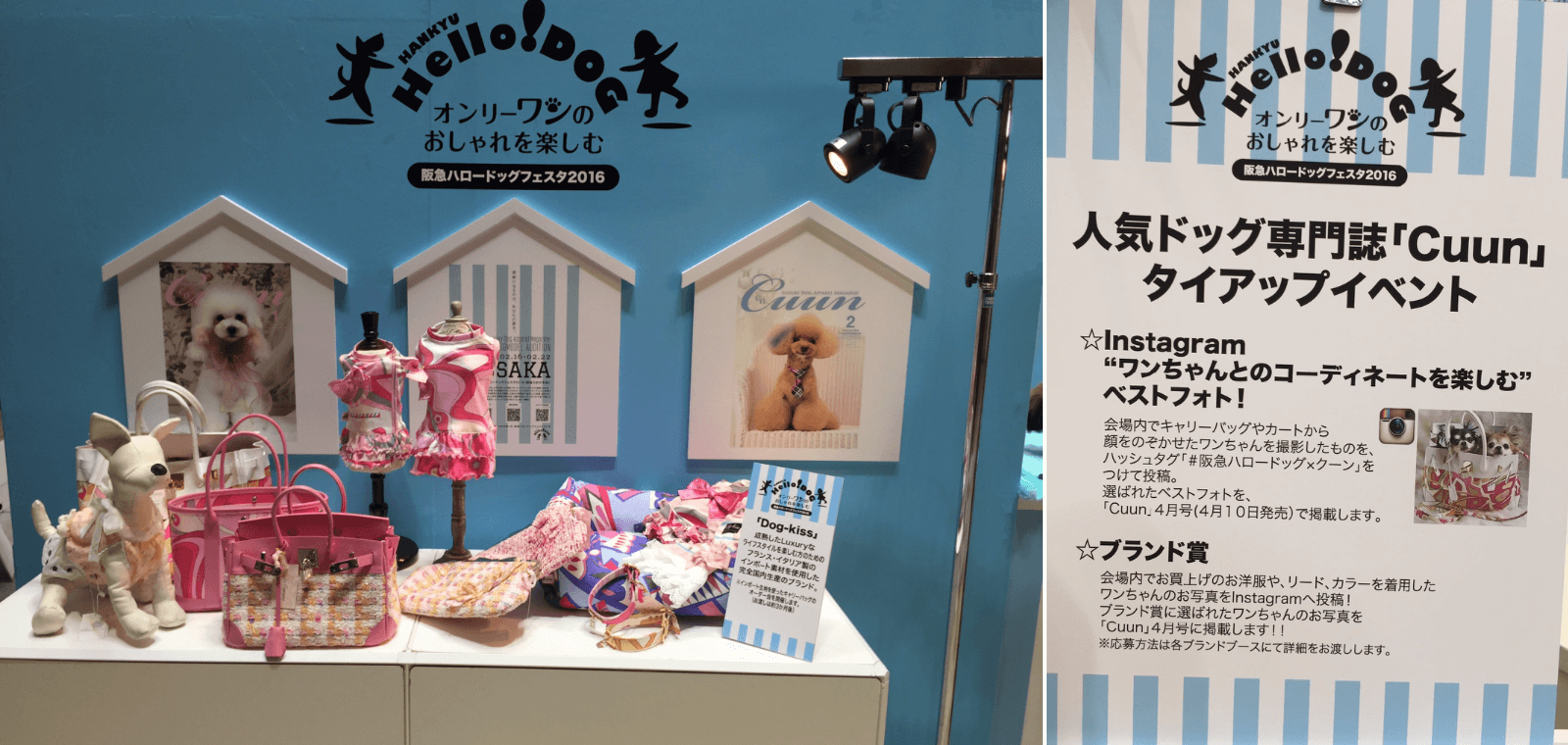犬の春夏ファッション、阪急ハロードッグフェスタ2016