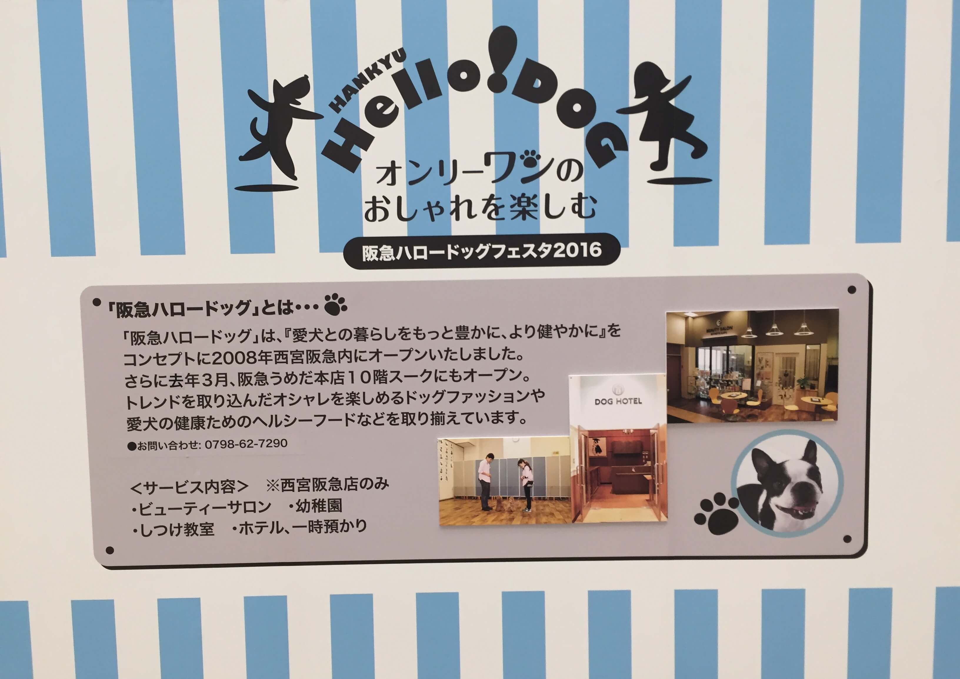 ハロードッグ、わんちゃんブランド