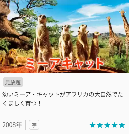 映画ミーアキャットの見どころと画像