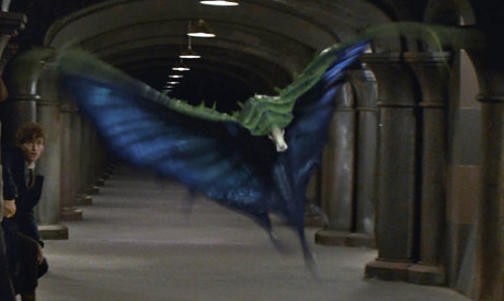 映画ファンタスティックビーストの登場する魔法生物スウーピング・イーブルの画像