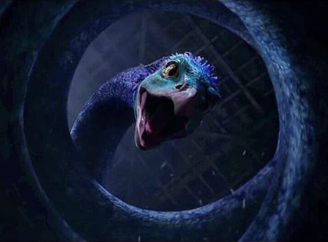 映画ファンタスティックビーストの登場する魔法生物オカミーの画像