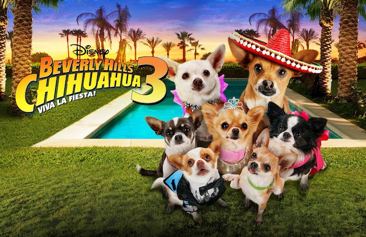 映画シリーズ3作目『ビバリーヒルズ・チワワ3』の画像